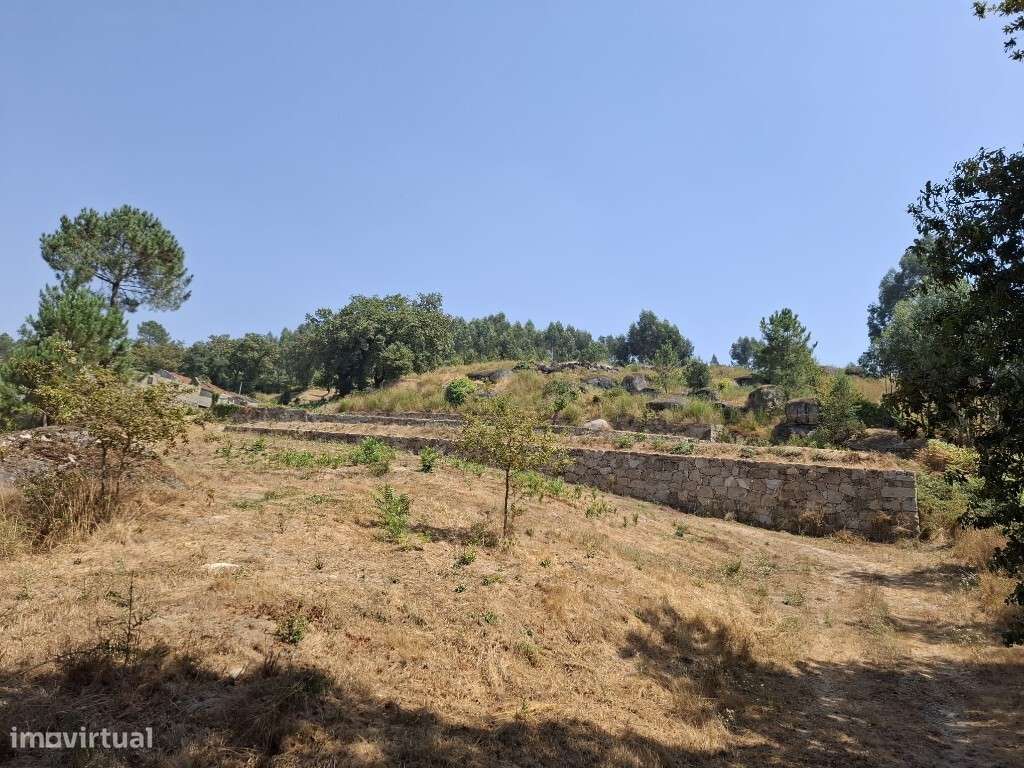 Quinta à venda – Prazins, Santo Tirso-14