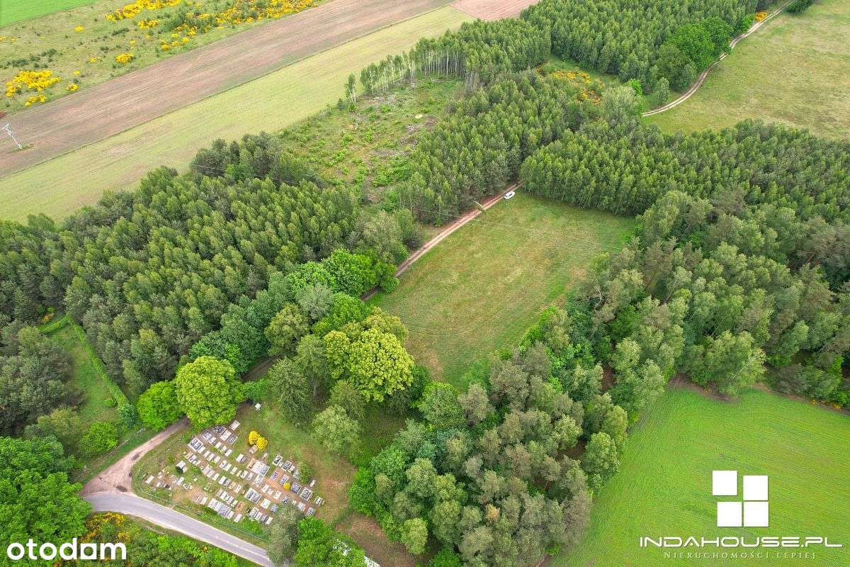 Działka budowlana z WZ, dookoła las - Pełny obrazek: 5/11