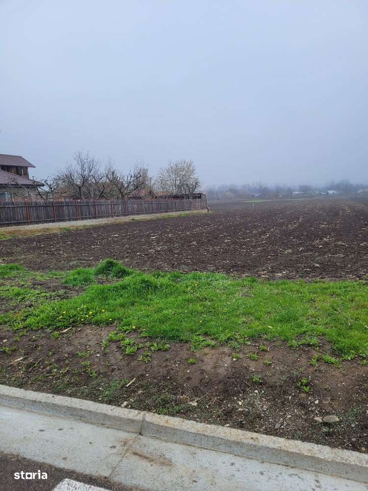 Exclusivitate!Vindem teren intravilan Ruginoasa-3