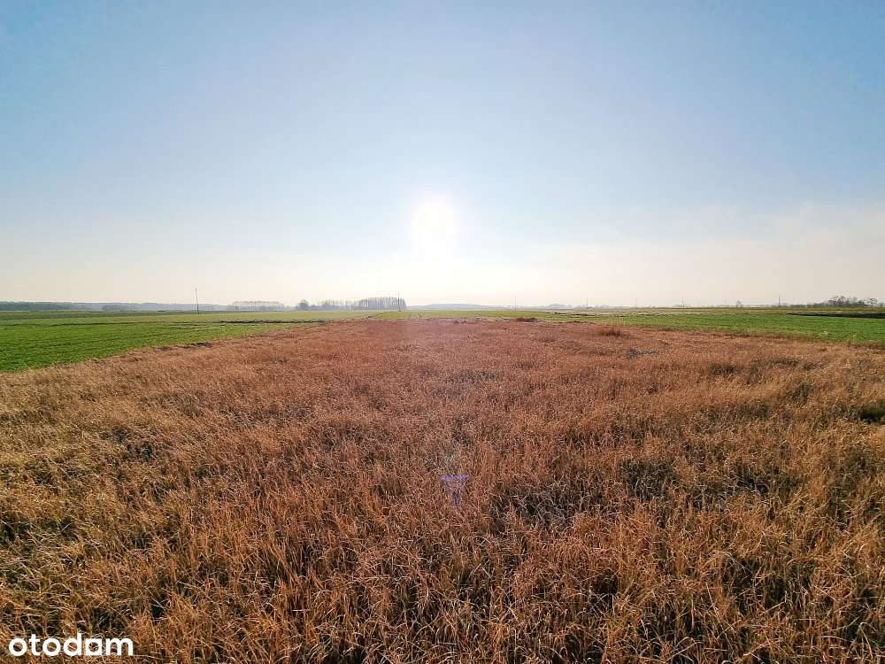 Siedlisko 36 ar | Dom 70 m2 | Opole gm. Podedwórze-18