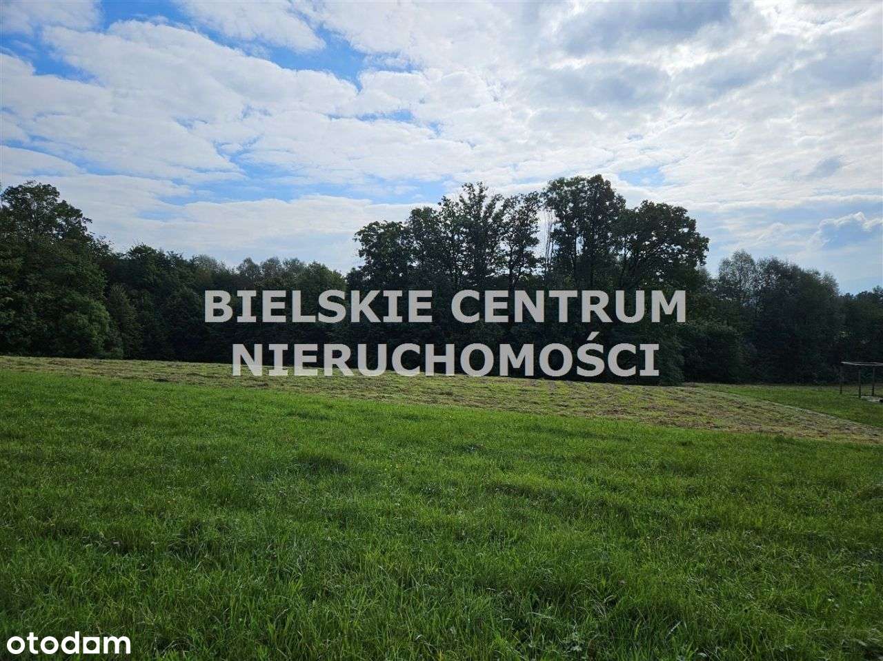 Działka, 13 942 m², Mazańcowice-3