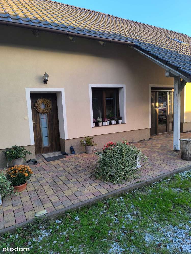 Dwa domy na jednej działce w Zamysłowie (obok Szlichtyngowej)-11