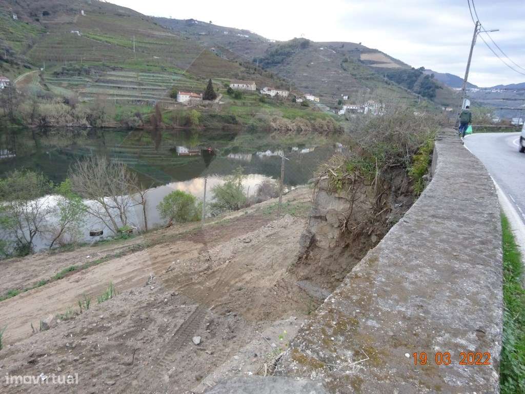 Quintinha - Mesão Frio - Grande imagem: 3/15