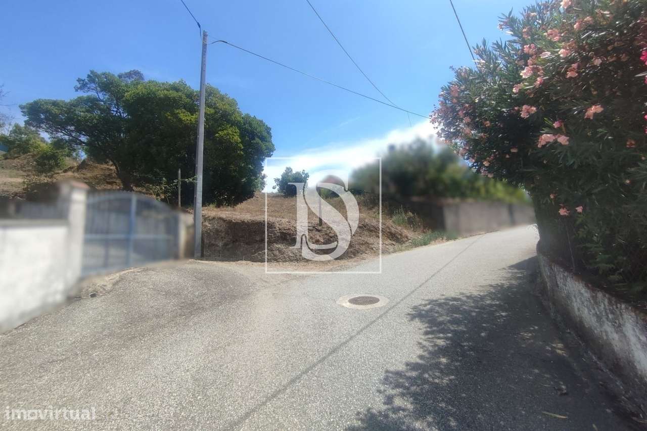 Terreno Para Construção  Venda em São Miguel do Outeiro e Sabugosa,Ton-4