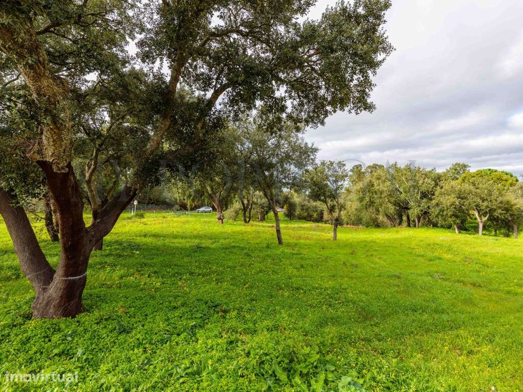 'Casa do Bosque': Terreno Urbano de 1 Hectare em Azeitão - Onde o L...-14