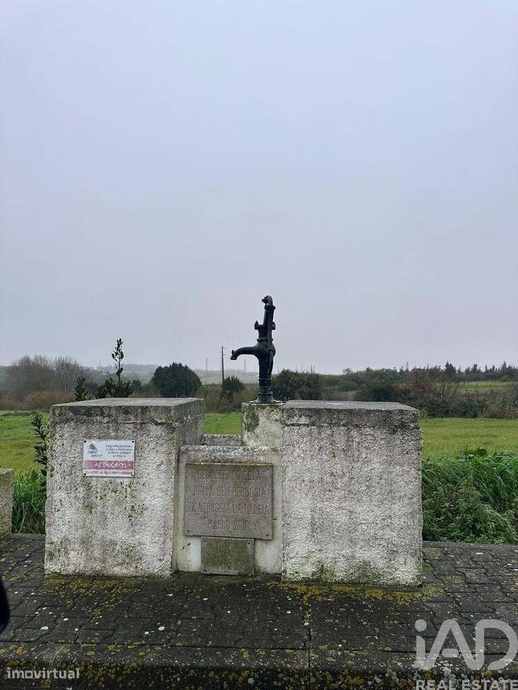 Terreno em Atouguia da Baleia - Grande imagem: 3/16