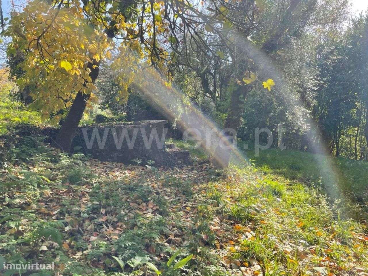 Quinta para restauro em Ribeiros - Fafe - Grande imagem: 5/17