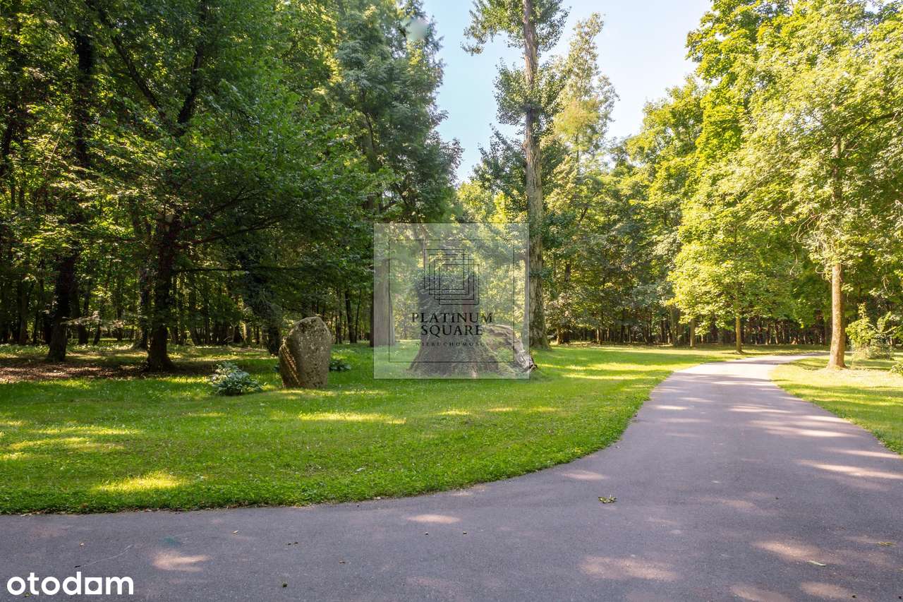 Zabytkowy pałac na sprzedaż  25 ha, prywatny park | okolice Wrocławia,-6