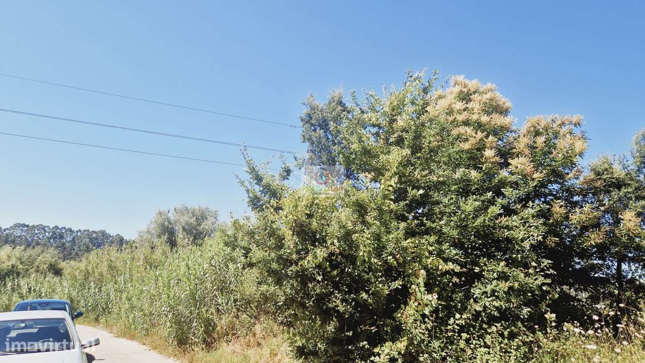 Terreno  inserido em Zona RAN - Grande imagem: 3/5