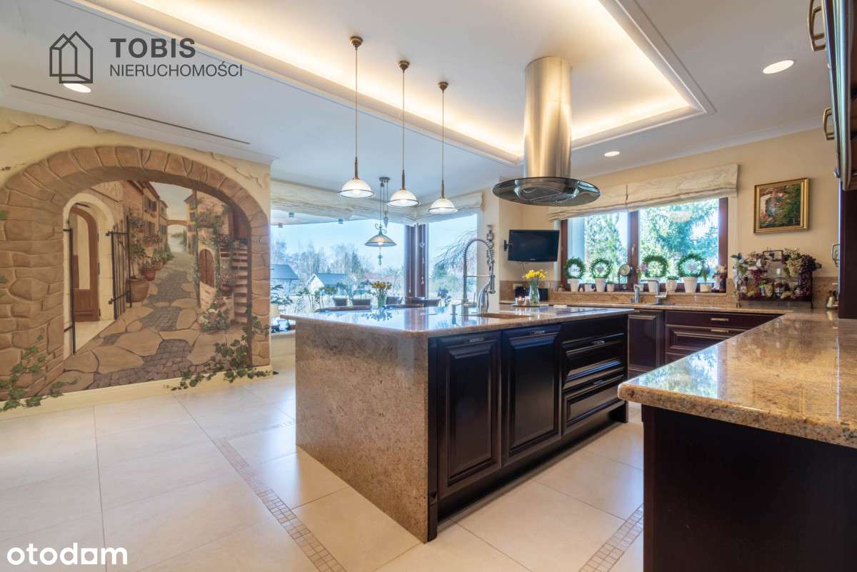 Rezydencja ze Stawem i Starodrzewiem – Chyby - Pełny obrazek: 5/20