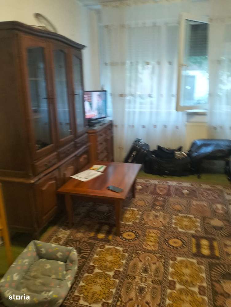 campia libertatii cu baba novac 3 minute de parc ior statuie cuza-11