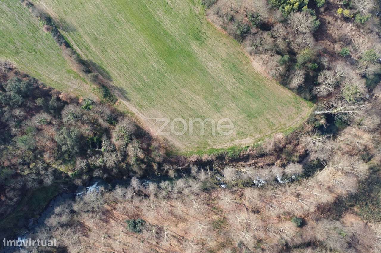 Mondim De Bastos - Grande imagem: 5/15