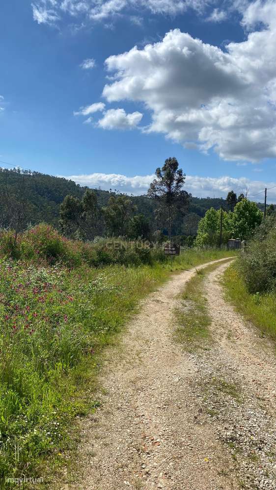 Terreno Rústico junto à Barragem de Castelo de Bode – Um Refúgio Natur - Grande imagem: 4/16