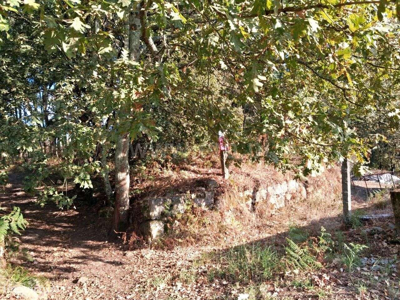 Terreno Rústico / Marco de Canaveses, Vila Boa do Bispo - Grande imagem: 5/6