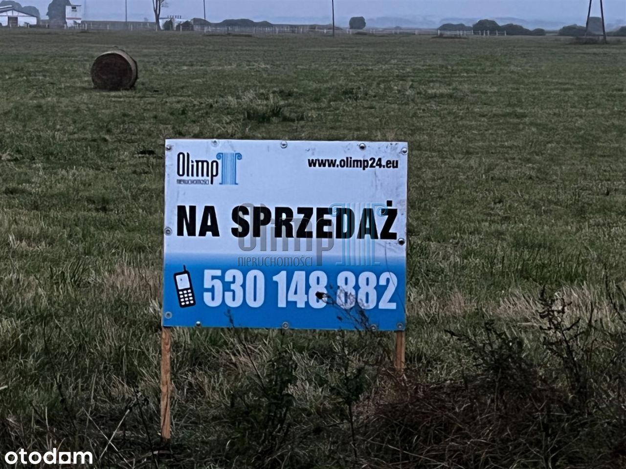 Działka na granicy Przyłęk/Olimpina