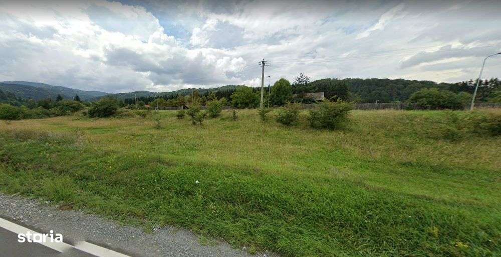 Zona Bradet - Teren - 9.000  mp - Deschidere - 210 ml - Imagine principală: 4/4