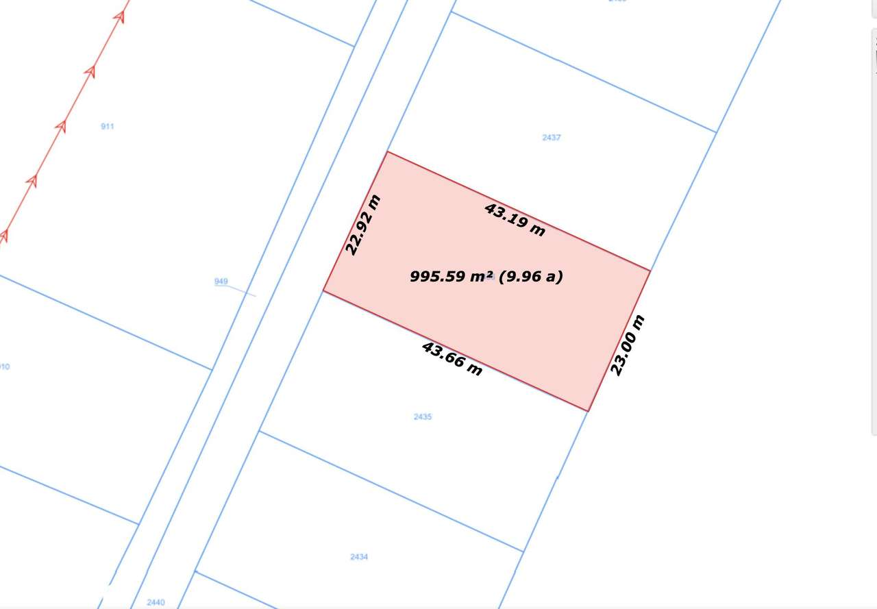 966 m² spokoju- Czarnowąsy czekają - Pełny obrazek: 5/9