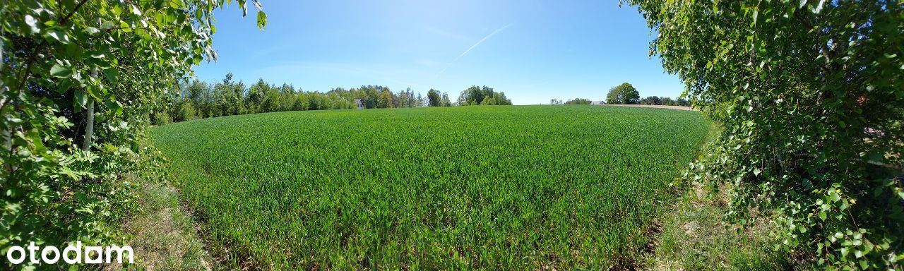 Działka 1000m2 Przyjaźń / Skrzeszewo Żukowskie