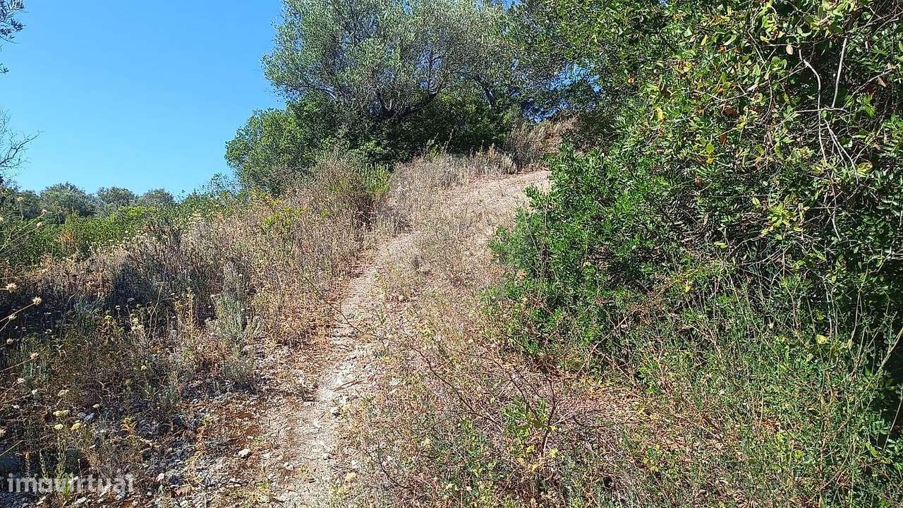 Terreno  para venda - Grande imagem: 4/7