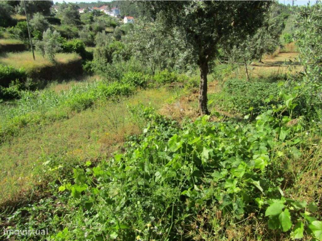 Casa da Taberna, Castelo de Bode, Abrantes-9