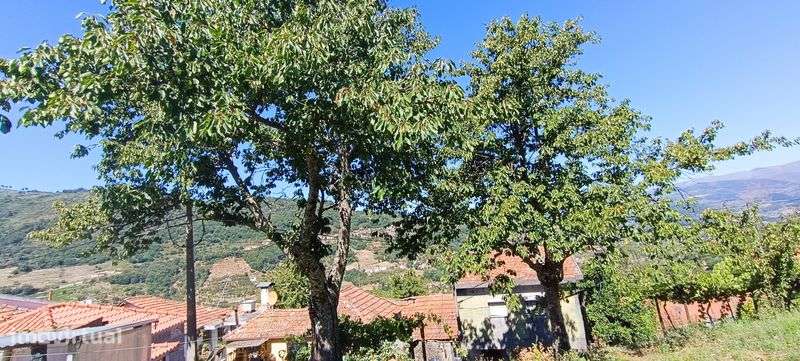 Terreno para venda - Grande imagem: 4/6