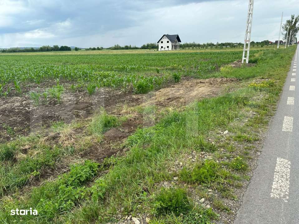 Teren intravilan ,4900 mp , 25ml front, Fratautii Vechi, Radauti - Imagine principală: 1/8