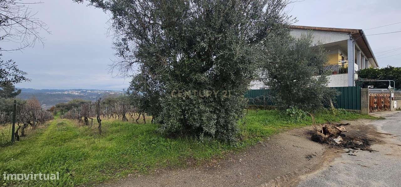 Terreno na zona de Silgueiros - Grande imagem: 3/8