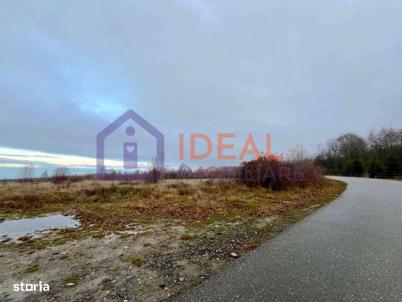 Teren extravilan 6.500 mp – două căi de acces, Cârțișoara-1
