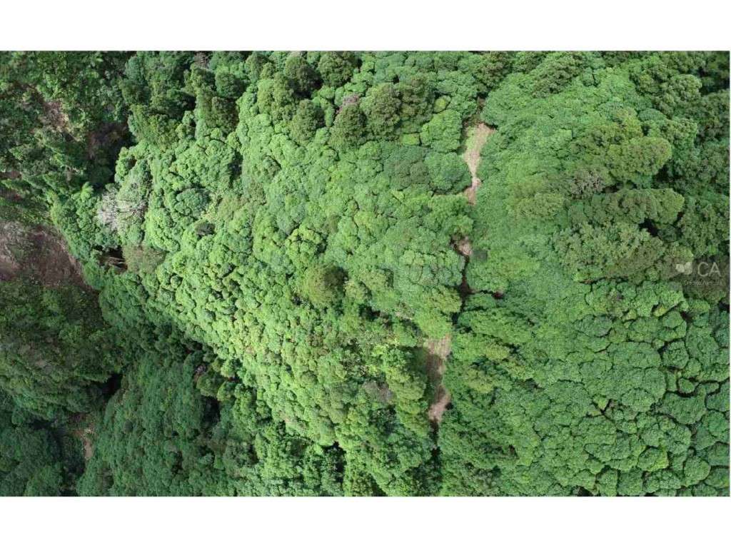 Terreno rústico - Grande imagem: 4/5