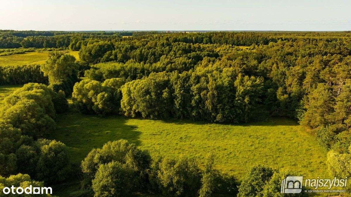 Długołęka - działka inwestycyjna z możliwościami - Pełny obrazek: 4/10