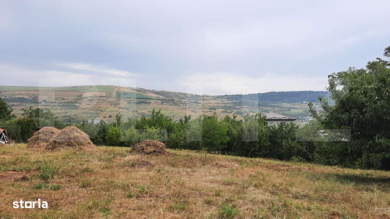 Teren intravilan construibil 2000 mp, Valea Chintaului, curti construc - Imagine principală: 2/3