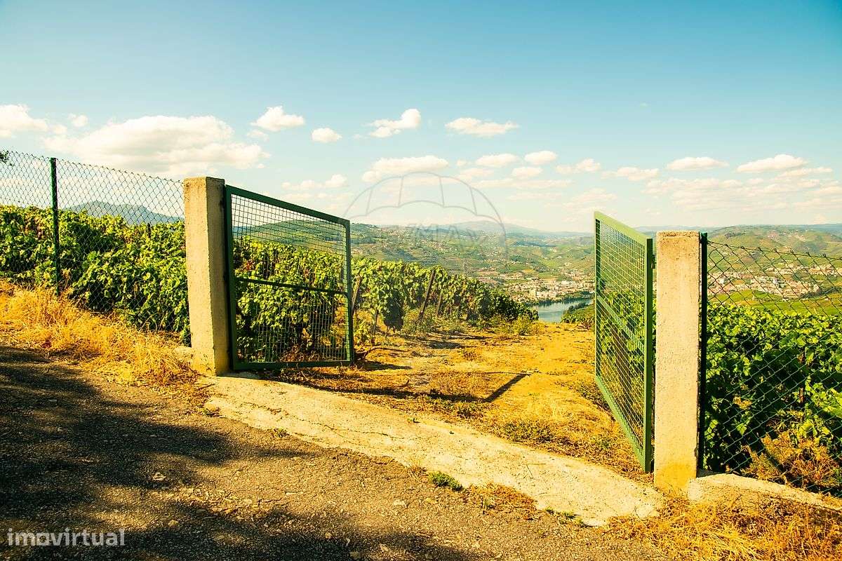 Quinta  para venda - Grande imagem: 2/28