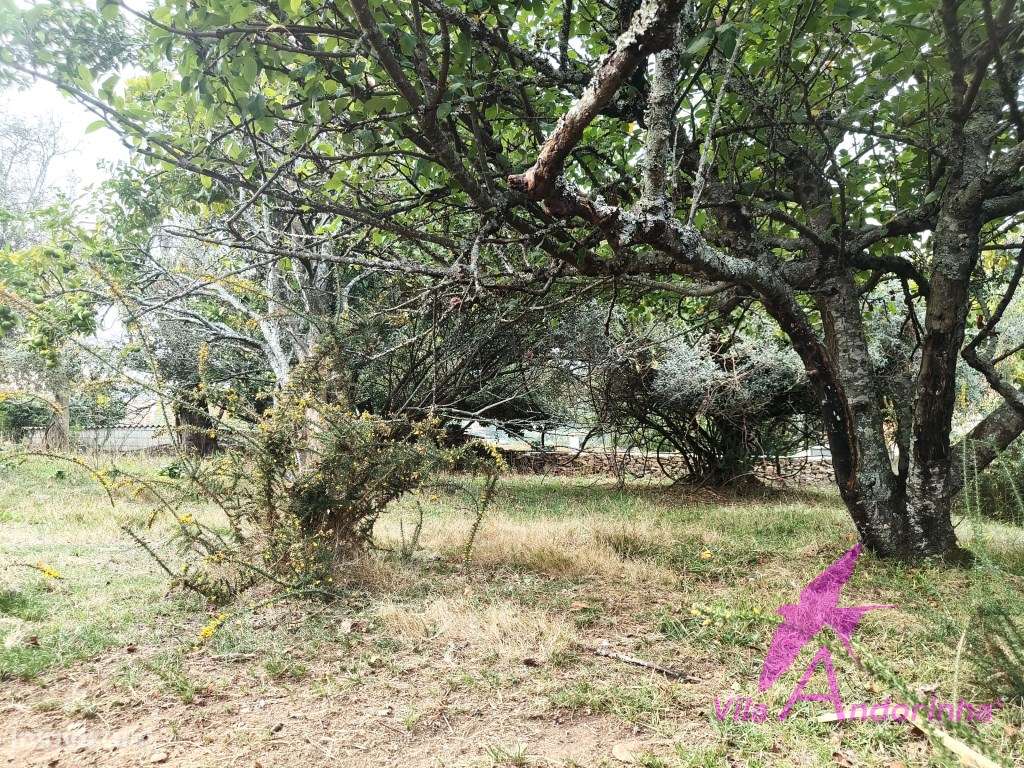 Terreno com Anexo em Pedra em Samonde - Santa Marta de Portuzelo-1
