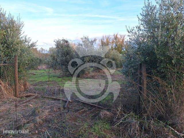 Terreno de 6,1 ha com Ruína-7