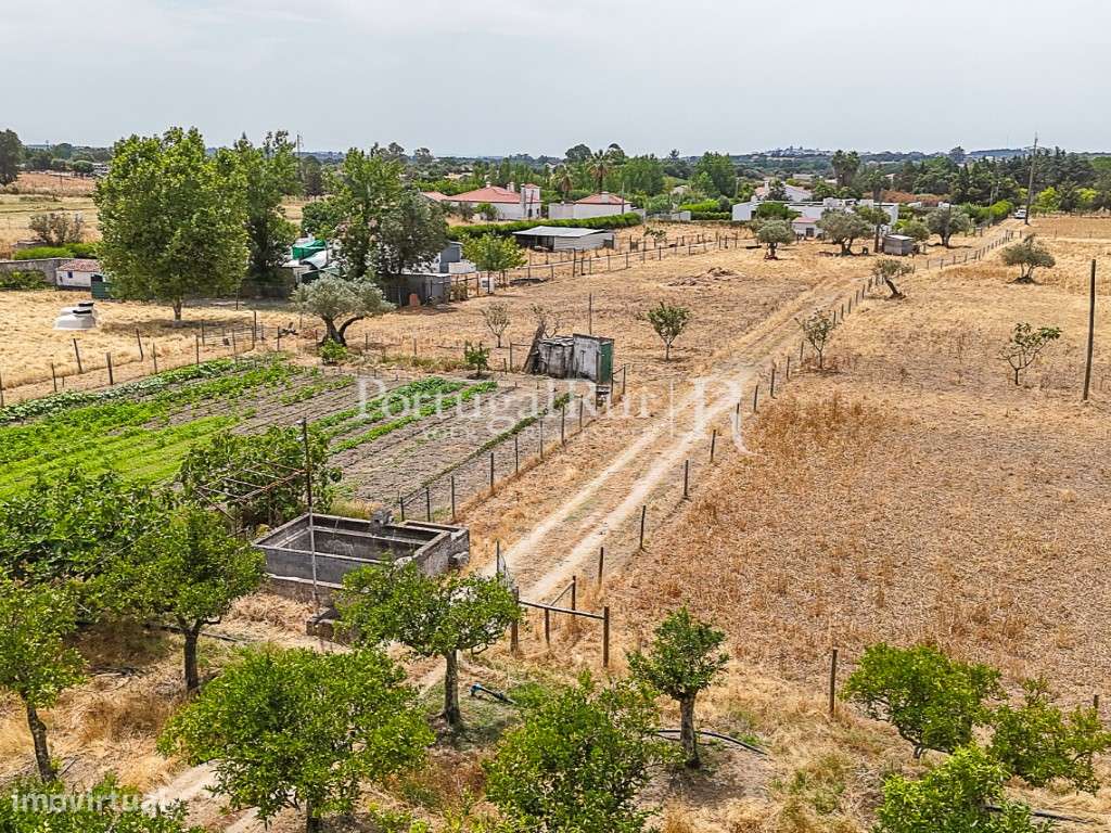 Encantadora quintinha alentejana - Grande imagem: 5/21