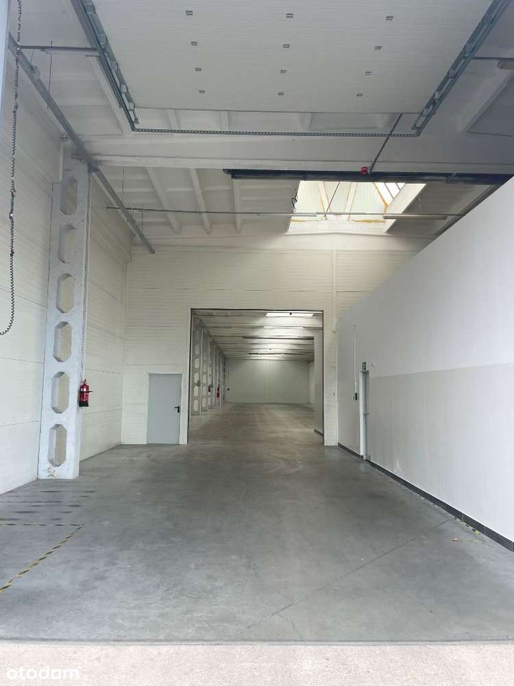 Hala produkcyjno-magazynowa z biurem - Pełny obrazek: 5/9