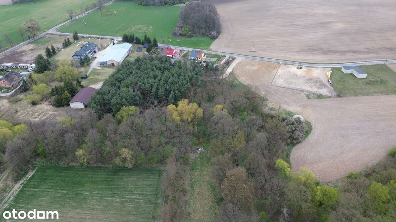 Sprzedaż nieruchomości inwestycyjnej – 3,46 ha | Grzebielin Budowlana-5