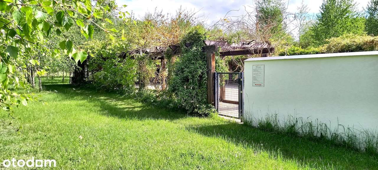 Garbicz - działka 5064 m² z mediami i basenem nad jeziorem-3