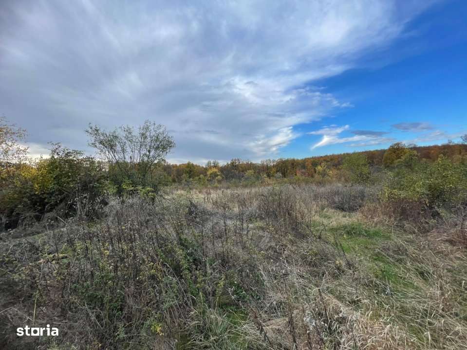 Teren intravilan Mosoaia - Imagine principală: 5/8
