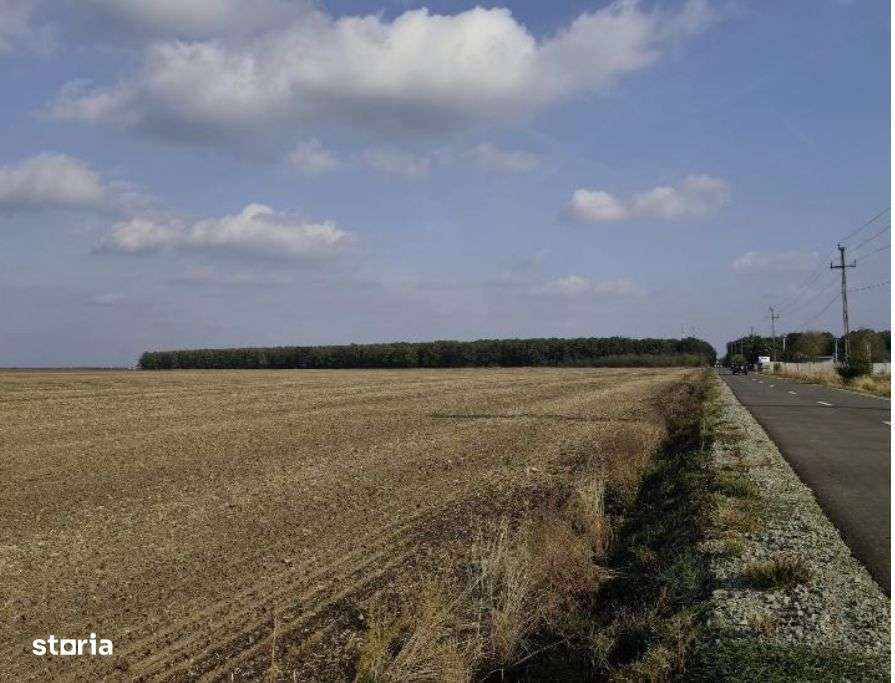 teren extravilan Varvoru de Jos, jud Dolj - Imagine principală: 5/9