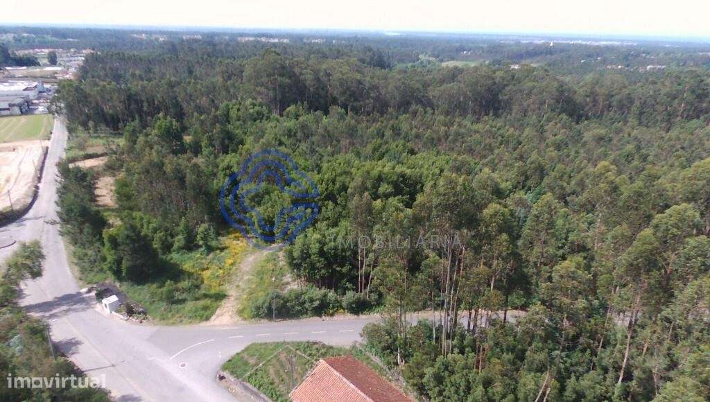 Terreno Industrial em São Vicente Pereira com 24 400metros - Grande imagem: 5/10