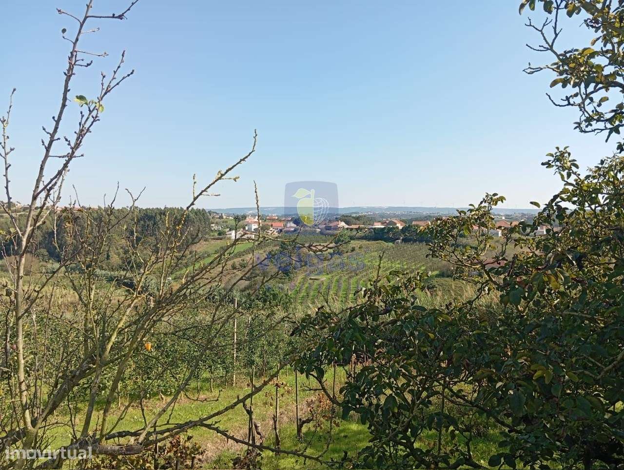 Ruina na Quinta do Bravo - Grande imagem: 4/10