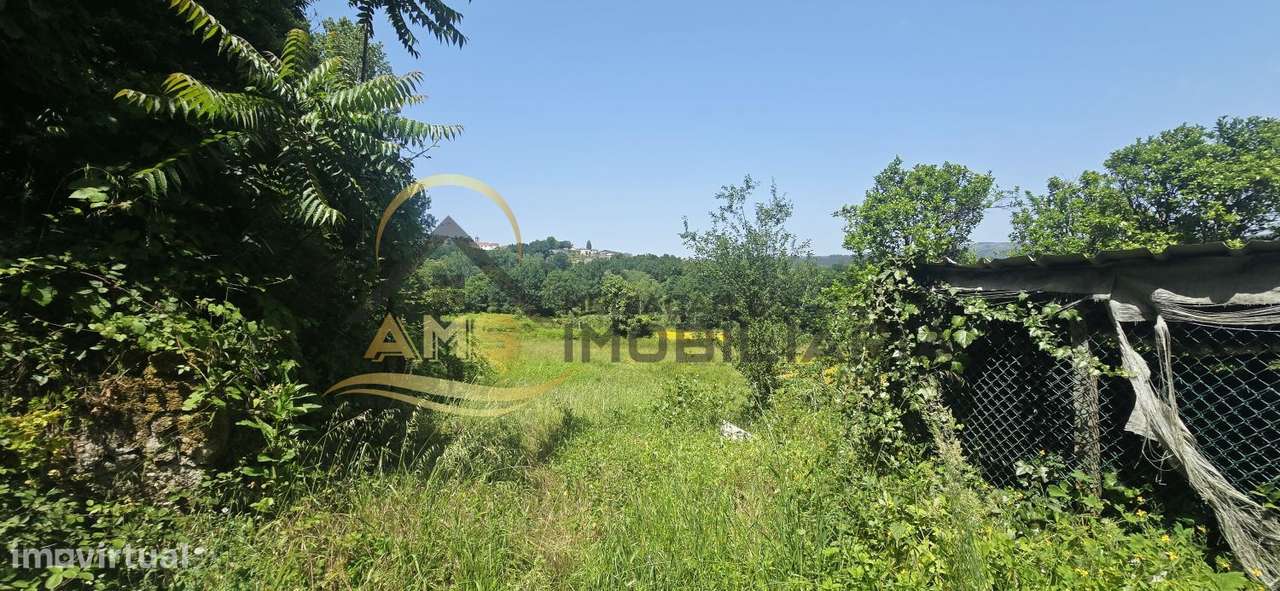 QUINTA A DOIS PAÇOS DA CIDADE COM 2,5ha-20