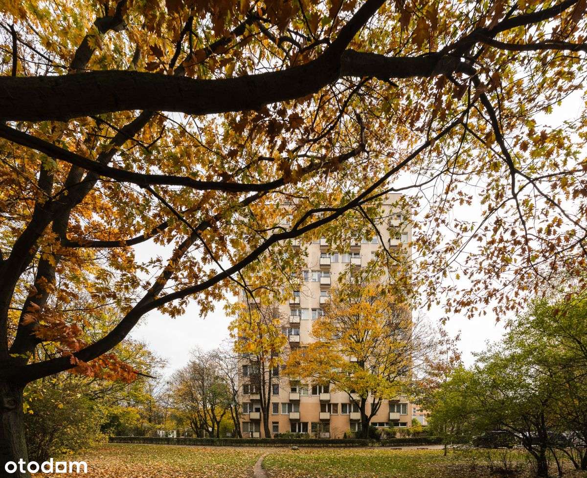 Dwa pokoje w świetnej lokalizacji-14