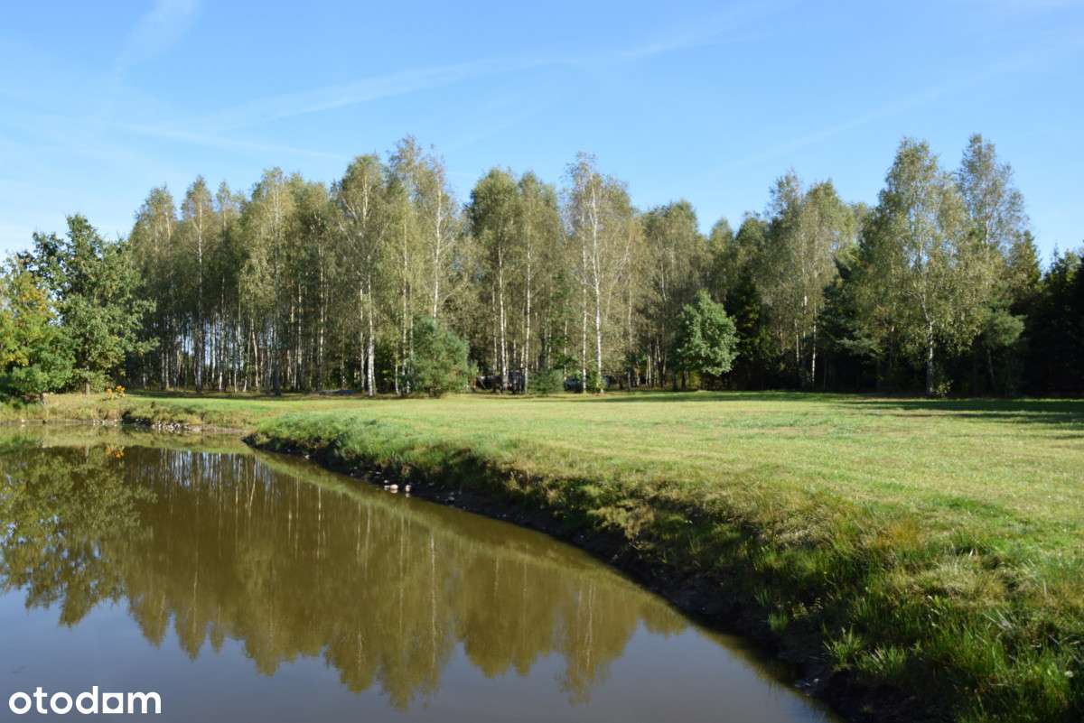 Dwa domy z potencjałem i dużą działką na Kaszubach-8