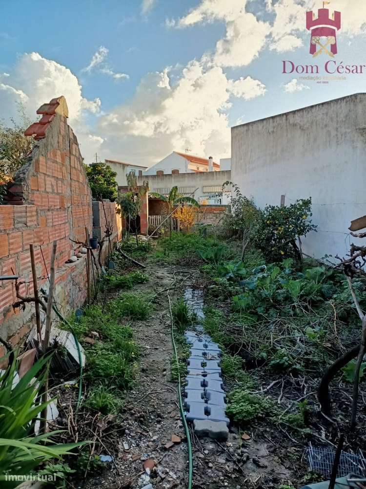 Moradia R/c 1º Andar na Glória do Ribatejo - Salvaterra de Magos-12