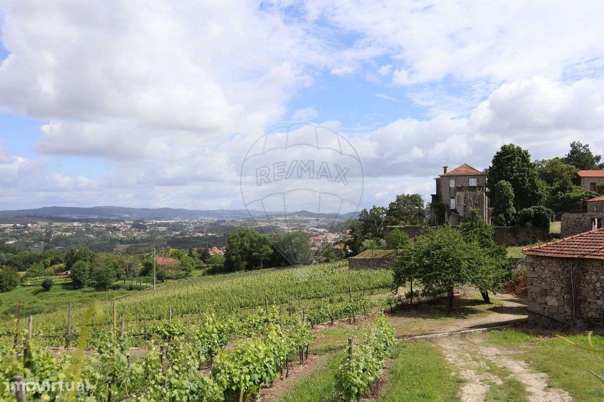 Quinta T7 para venda-21