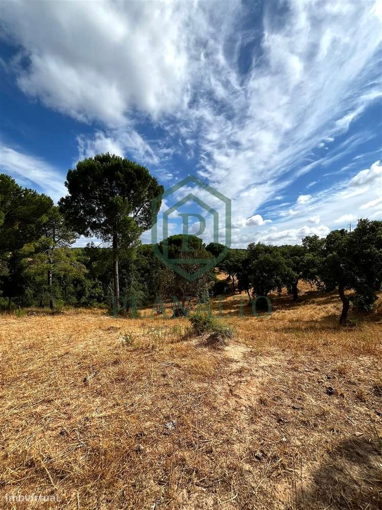 Quinta >=T10 Venda em Cortiçadas de Lavre e Lavre,Montemor-o-Novo-38