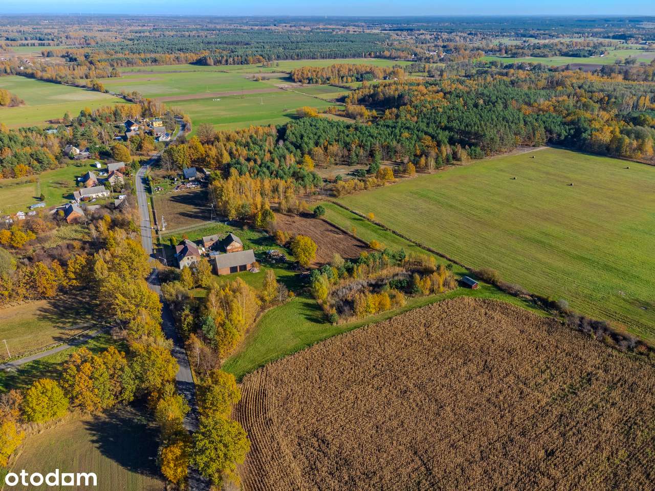 Przy lesie | 40 arów | budowlana | pod Twardogórą-8