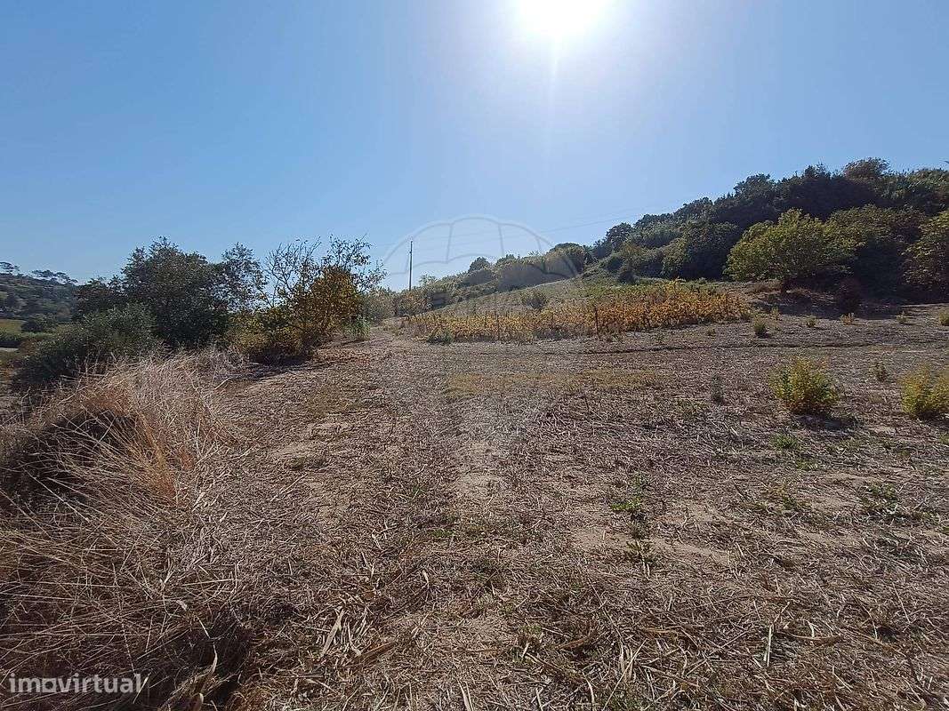 Terreno  para venda - Grande imagem: 4/12